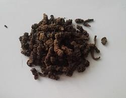 بسته 100 گرمی 