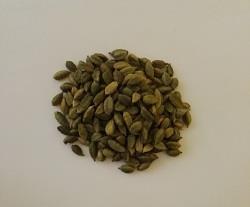 بسته 10 گرمی