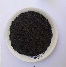 بسته 100 گرمی