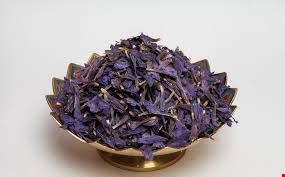 گل گاوزبان