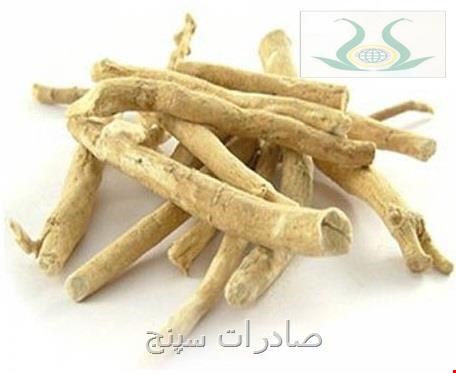 آشو آگاندا ( جیسینگ هندی ) 