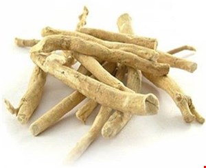 آشو آگاندا ( جیسینگ هندی ) 
