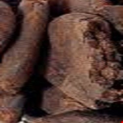 جندبیدستر