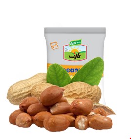 بادام زمینی 
