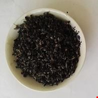 گل بنفشه 