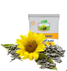 تخمه آفتابگردان