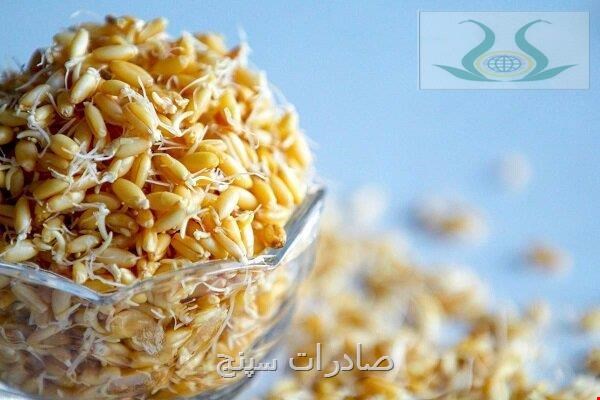 پودر جوانه گندم