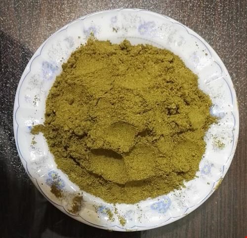 جلبک دریایی 