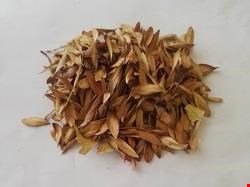 زبان گنجشک