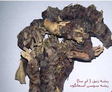 ایرسا ( زنبق ) 