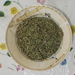 زرین گیاه 