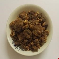 آنغوزه