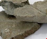 گل سرشور