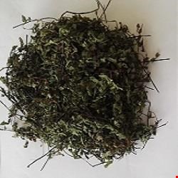  پر سیاوش