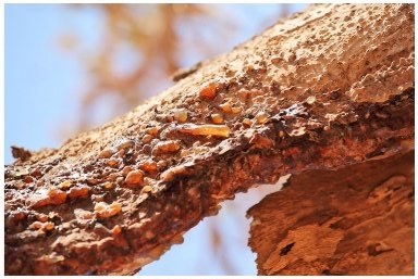 بسته 100 گرمی 