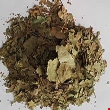برگ گردو 