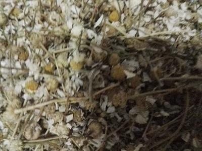 بسته 100 گرمی