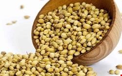 تخم گشنیز