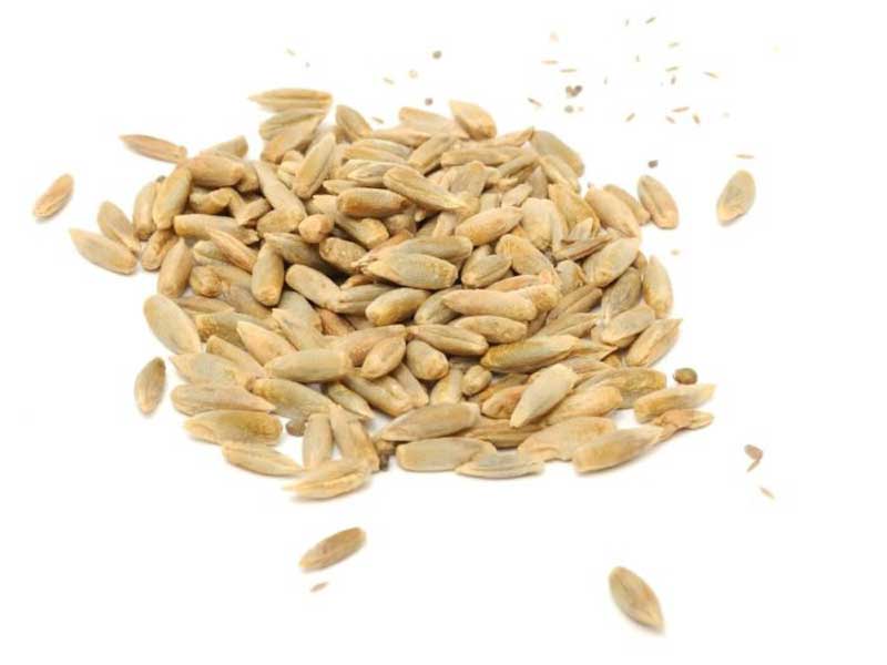 بسته 100گرمی