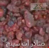 لاک مغسول ریز (اصل) 