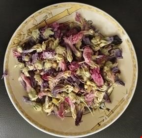 گل ختمی رنگی 