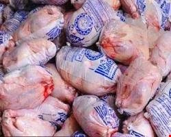 گوشت مرغ سرد