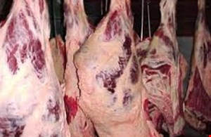 گوشت گاو و گوساله گرم
