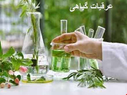 عرقیات گیاهی 